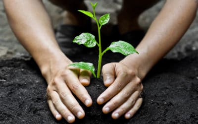 Fighting For The Future Saving Animals, Nature, Future Generation, the Real Truth, a Letter Harvard