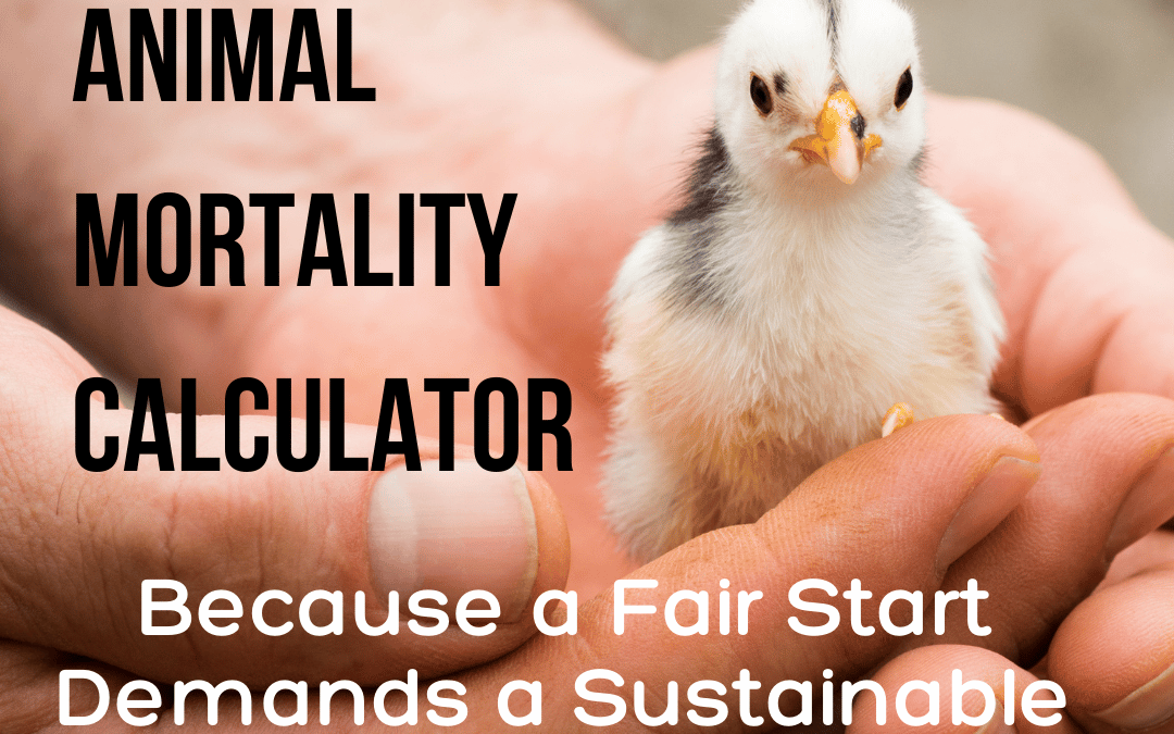 animal mortality calculator