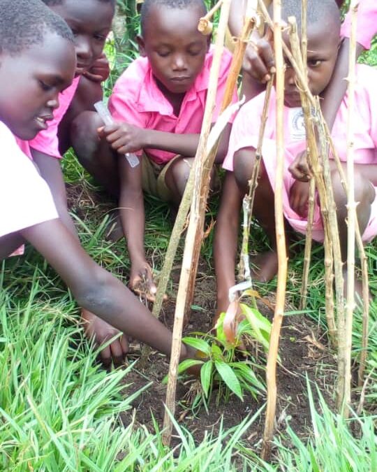 Life Saving Climate Reparations in Uganda