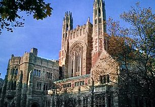 Inequality, Philanthropy, Animal Protection, The Letter To Yale