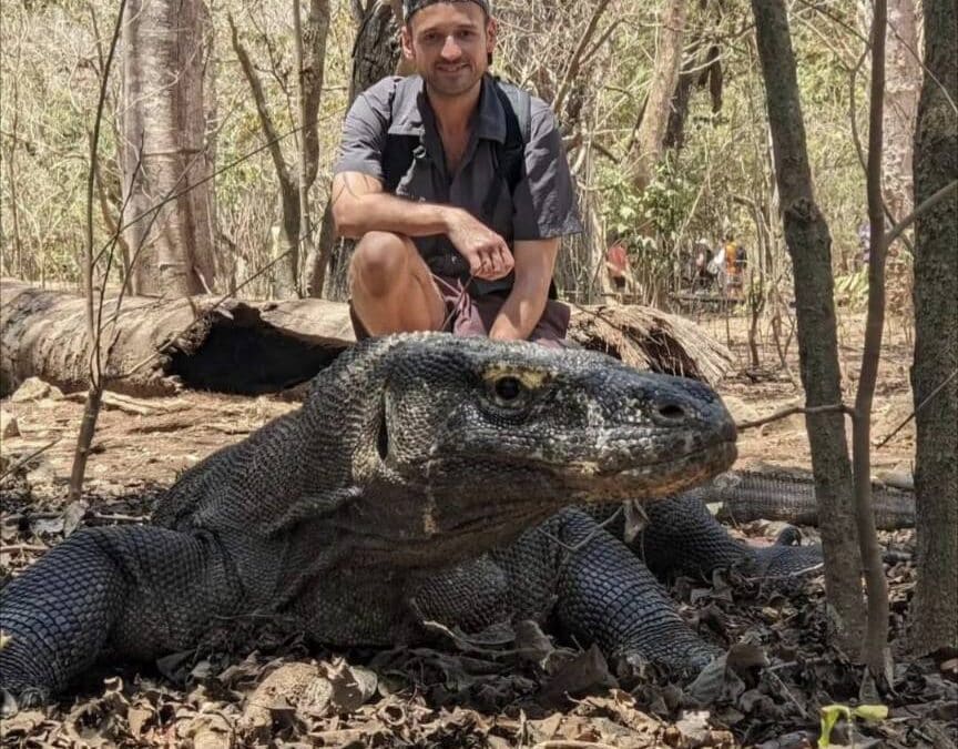 Save The Animals, Save The World
